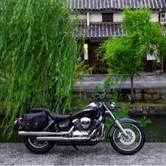 YAMAHA DragStar250 2007年式