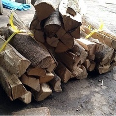 焚き木１７の画像