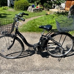 Bridgestone Assista eBike - 15.4...