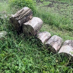 薪　35-40cm玉切　30個ほど　無料の画像