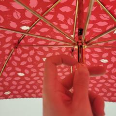 ルルギネス 雨傘の画像
