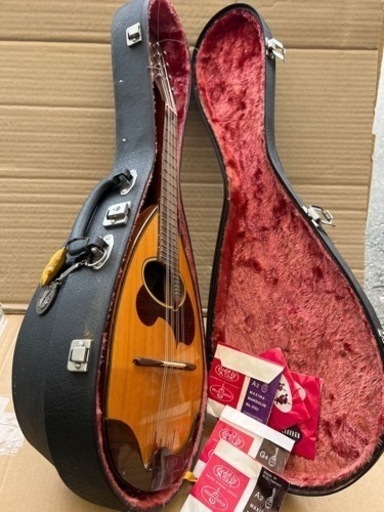 KUNISHIMA/国島 No 18 マンドリン 1975ブラウン ユニセックス