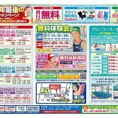 🟢🔵🟣桶川・スイミングスクール2023年最後の入会キャンペーン🟣🔵🟢の画像