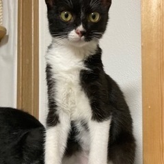 おっと〜り優しい☆*:.｡. せいちゃん