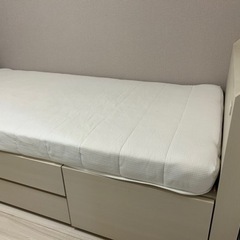 無料お譲り！の画像