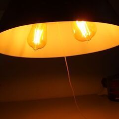 ニトリ ペンダントライト ビレル 177P-2 2灯 常夜灯 ブラック 外箱あり ☆ 札幌市 北区 屯田 の画像