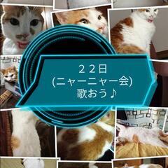 カラオケ♪２２日ニャーニャー会
