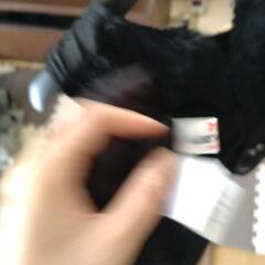 ブラックレース　トップスの画像