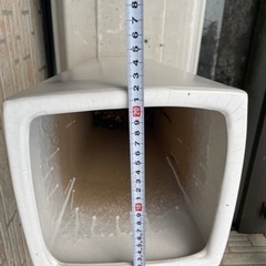 花瓶譲りますの画像
