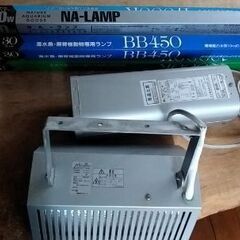 海水魚用関連商品の画像