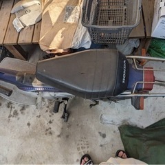 シャリー再投稿の画像