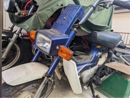 シャリー再投稿