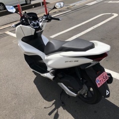 PCX125 jf81 低走行　自賠責令和7年の画像