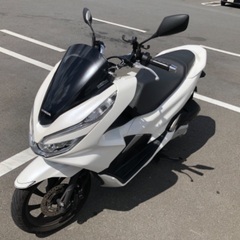 PCX125 jf81 低走行　自賠責令和7年の画像