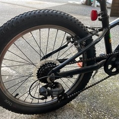 大幅値下げ TREK トレックPRECALIBER 2020年モデル 20インチ キッズバイクの画像