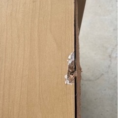 【受渡予定者決定】カラーボックス（薄い木目）の画像