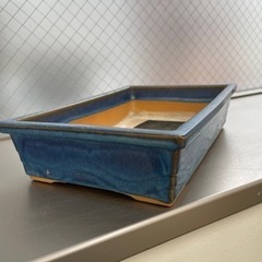 角鉢　植木鉢の画像