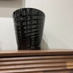 鉢あげます！