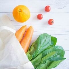 青果物の仕分け作業