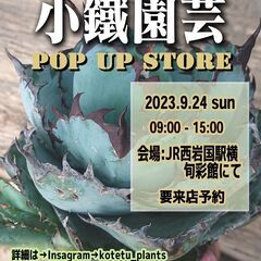アガベ・多肉植物の個人イベです。