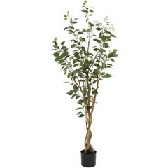 フェイクグリーン　観葉植物　フィカス