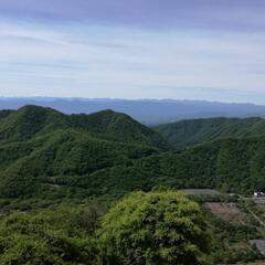 散歩仲間の募集！