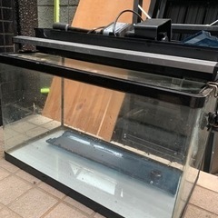 ニッソー　ガラス曲げ水槽60 その他セットの画像