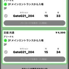 琉球ゴールデンキングス　チケット　2枚