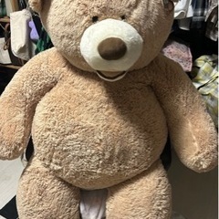 コストコのくま 
