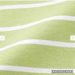 GU クロップドボーダーポロT 150cm 新品の画像