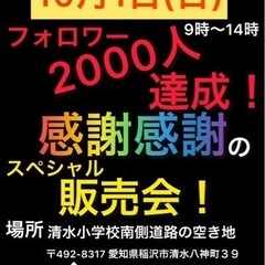 メダカ販売会！　メダカ掬い激安！極上個体入り！