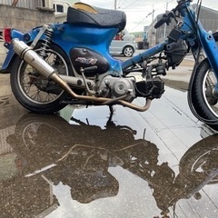 リトルカブ