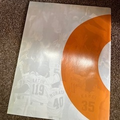 ジャイアンツ　ジャイアンツプライド　ファンブック　2008の画像