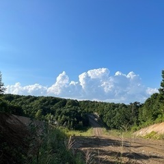 草刈ります。集めます。捨てます。