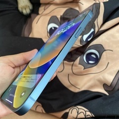 iPhone 14 plus