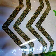 ゆめちから小麦種子 1kg×6袋の画像