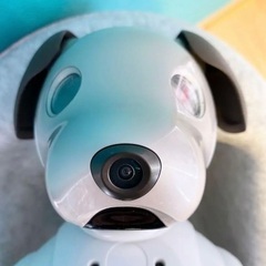 SONY AIBO ERS-1000 アイボの画像