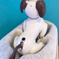 SONY AIBO ERS-1000 アイボの画像