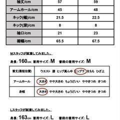 (144)📌【未使用】ラッシュガード(BK)(L)の画像