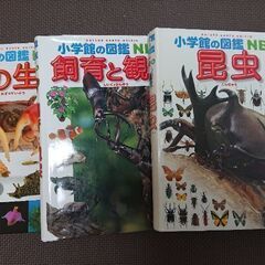 学研 図鑑 NEO