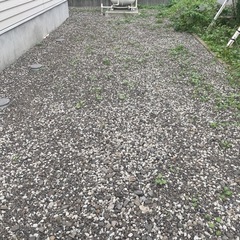 庭の草むしり　〆切