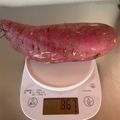 紅はるか 20kg〜の画像