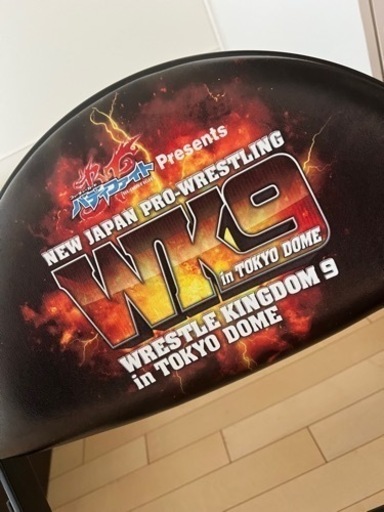 新日本プロレス 東京ドーム大会 超限定