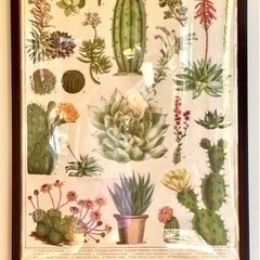 【フレーム付】アートポスター ポスター “CACTI SUCCU...
