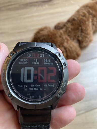 GARMIN Fenix 6X Pro Dual Power