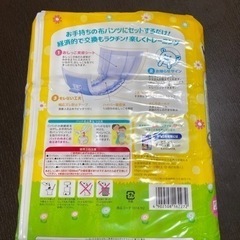 トイレトレーニングパッド　33枚×3パックの画像