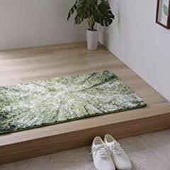 イケヒコ 玄関マット 60×90cm 抗菌防臭