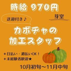【日払い・週払い可】短期でカボチャの加工作業員募集中！！送迎付き...
