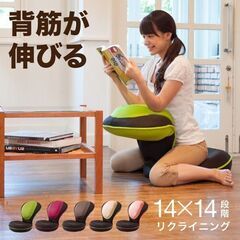 背筋がGUUUN 美姿勢座椅子 PROIDEA プロイデア リク...