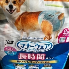 マナーウェア　長時間オムツ　中型犬　Lの画像
